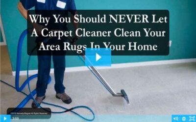 Carpet Cleaners and Rugs