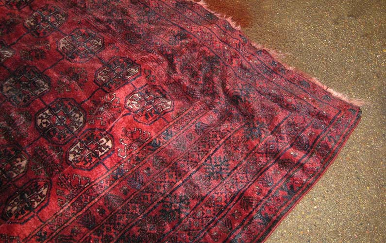 Emergency Steps to Save Your Rugs After a Flood